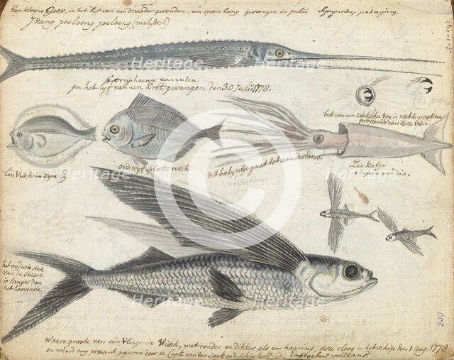 Sea fishing, 1778. Creator: Jan Brandes.