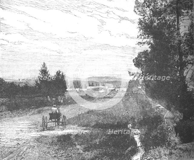 'Market Street, Pretoria', c1880s. Artist: Unknown.