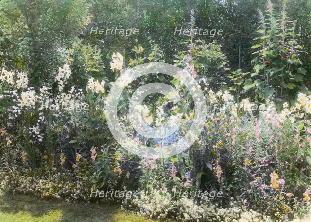 Dr. Peter Brown Wyckoff house, Gin Lane, Southampton, New York, 1914. Creator: Frances Benjamin Johnston.