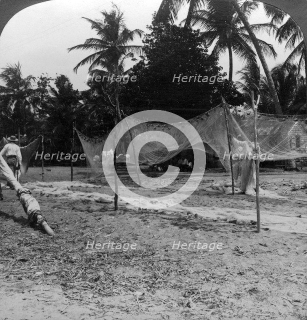 Fishermen drying their nets on the beach, Basseterre, St Christopher, West Indies.Artist: HC White