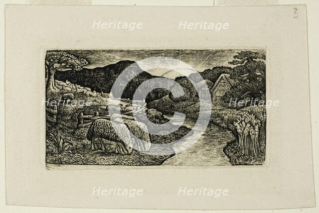 The Sheep of this Pasture, n.d. Creator: Edward Calvert.