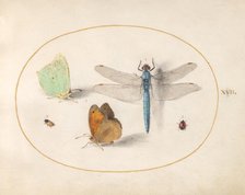 Plate 17: Two Butterflies, a Dragonfly, and Two Small Insects, c. 1575/1580. Creator: Joris Hoefnagel.