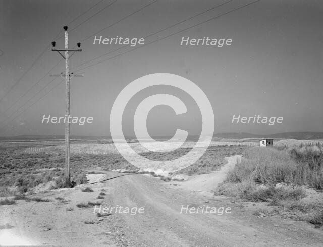 On bench land of the Owyhee project, Nyssa Heights, Malheur County, Oregon, 1939. Creator: Dorothea Lange.