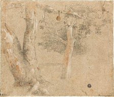 Sketches of Trees, n.d. Creator: Cristofano Allori.