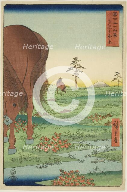 Kogane Plain in Shimosa Province (Shimosa Koganehara), from the series "Thirty-six Views..., 1858. Creator: Ando Hiroshige.