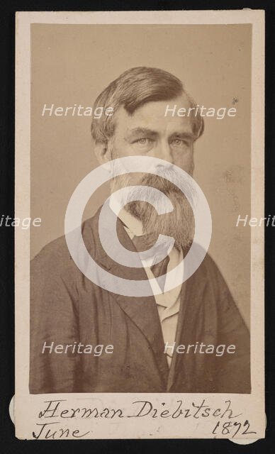 Portrait of Herman Henry Diebitsch (1818-1883), 1871. Creator: Henry Ulke.