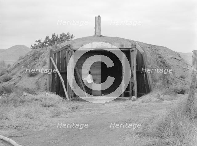 Potato cellar in the Klamath Basin..., Merrill, Klamath County, Oregon, 1939. Creator: Dorothea Lange.
