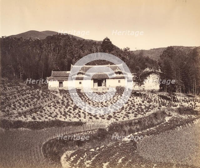 Teafield & Josshouse at Peling, ca. 1869. Creator: Attributed to Tung Hing.