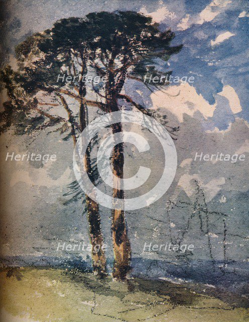 'Scotch Firs',1805. Artist: David Cox the elder.