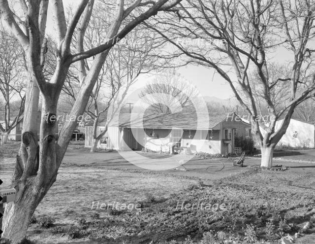 El Monte federal subsistence Homesteads, California, 1936. Creator: Dorothea Lange.
