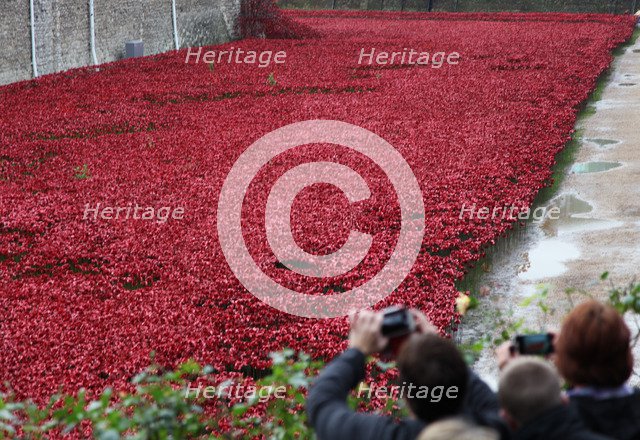 'Blood Swept Lands and Seas of Red', Tower of London, 2014.  Artist: Sheldon Marshall