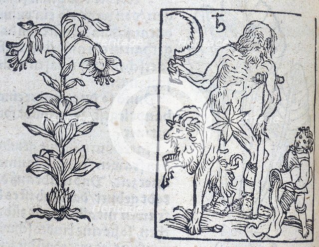 The lily and Saturn, 13th century. Creator: Unknown.