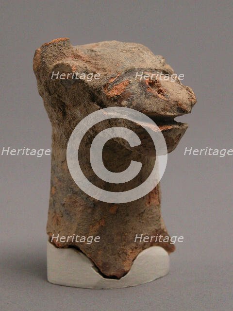 Head of Camel, Coptic, 4th-7th century. Creator: Unknown.