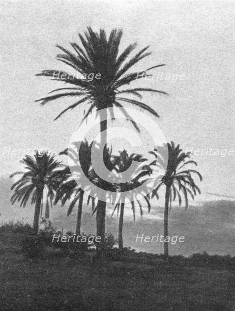 ''A la lisiere du desert en Tripolitaine; Le Nord-Est Africain', 1914. Creator: Unknown.