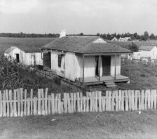 Cabin of sugarcane worker, Bayou La Fourche, Louisiana, 1937. Creator: Dorothea Lange.