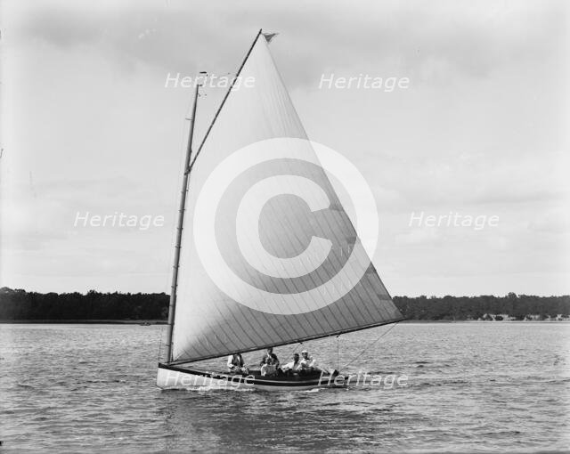 Primrose, between 1880 and 1899. Creator: Unknown.