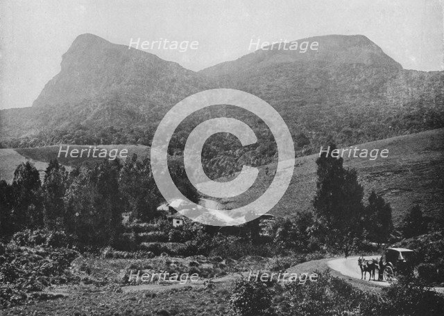 'On the Road to Hakgalla. Hakgalla Rock in the Distance', c1890, (1910). Artist: Alfred William Amandus Plate.