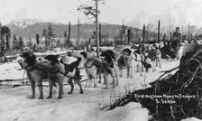 First dog team to go from Nome to Seward, between c1900 and c1930. Creator: S Sexton.