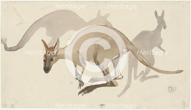 Kangaroos, 1873-1917. Creator: Theo van Hoytema.