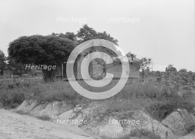 Story-and-a-half weatherboard house, Person County, North Carolina, 1939. Creator: Dorothea Lange.