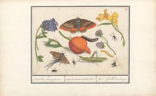 Natural History Ensemble (No. 14), 1596-1610. Creators: Elias Verhulst, Anselmus de Boodt.