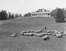 South terrace and Mansion, Druid Hill Park, Baltimore, Md., c1906. Creator: Unknown.