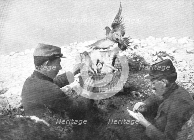 ''Precieux Auxiliaires; Un lacher de pigeons', 1915. Creator: Unknown.