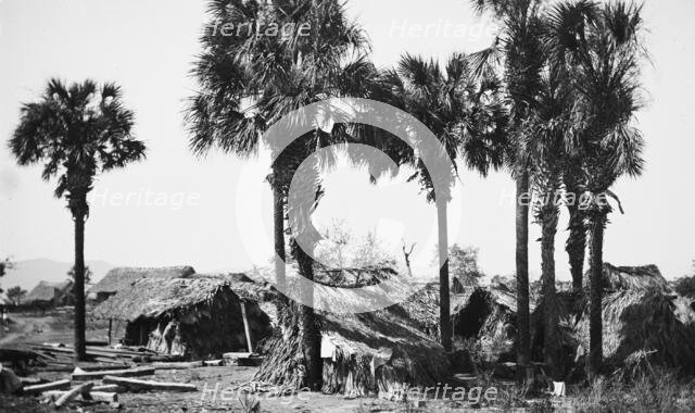 Palms and straw houses at Rascon, between 1880 and 1897. Creator: William H. Jackson.
