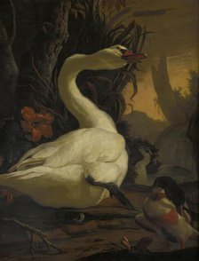 Swan, c1700. Creator: Abraham Busschop.