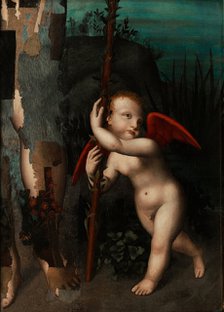 Cupid with a myrtle, before 1593. Artist: Luini, Aurelio (1530-1593)