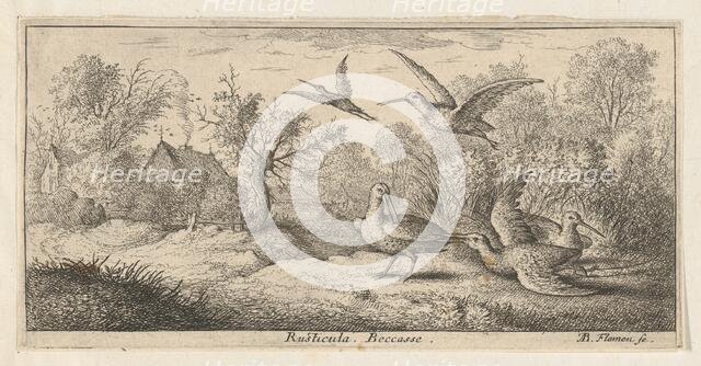 Rusticula, Beccasse (The Woodcock): Livre d'Oyseaux (Book of Birds), 1655-1660. Creator: albert flamen.