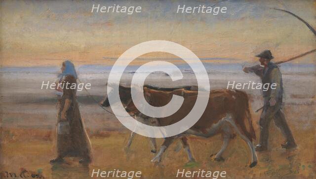 Cows Being Driven across the Moor, 1902. Creator: Michael Peter Ancher.