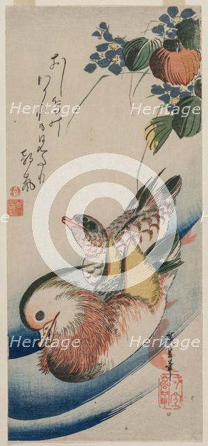 Mandarin Ducks and Flowering Plants, early or mid-1830s. Creator: Ando Hiroshige (Japanese, 1797-1858).