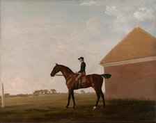 Turf, with Jockey up, at Newmarket, ca. 1766. Creator: George Stubbs.