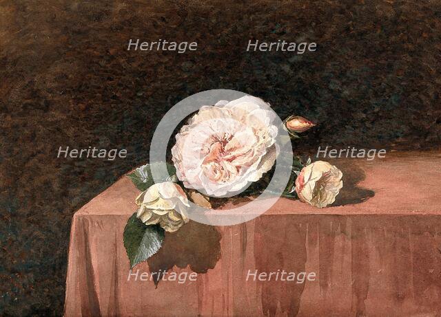 Rose flowers on a table. Creator: Unknown.