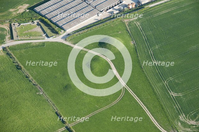 Group of round barrows, showing as earthworks, on Shorn Hill, near Martinstown, Dorset, 2015. Creator: Historic England.