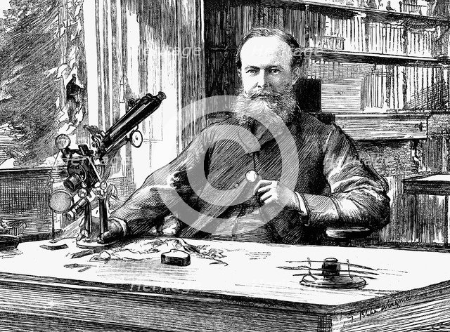 John Lubbock, lst Baron Avebury, English banker, scientist and Liberal politician, 1884. Artist: Unknown