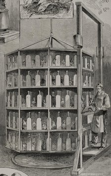Artificial hatching of hen eggs by the Baker method - supply of bait for layer chicks, 1878. Creator: Unknown.