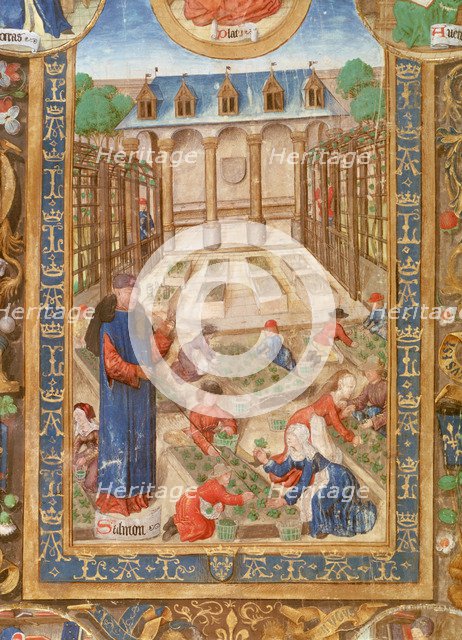 Pharmaceutical garden, 15th century. Artist: Unknown