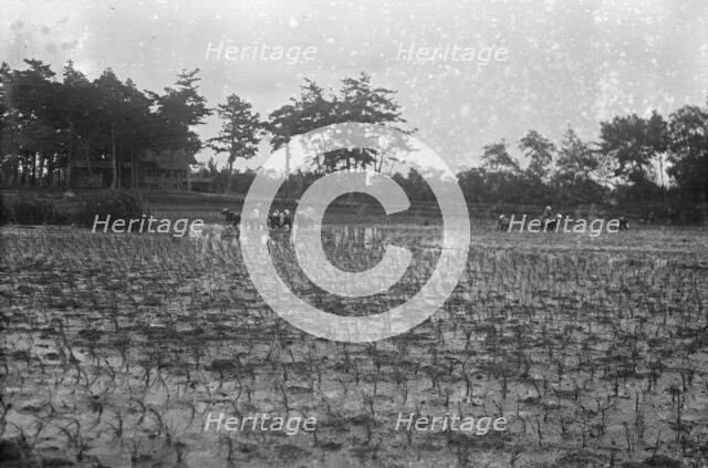 Travel views of Japan and Korea, 1908. Creator: Arnold Genthe.