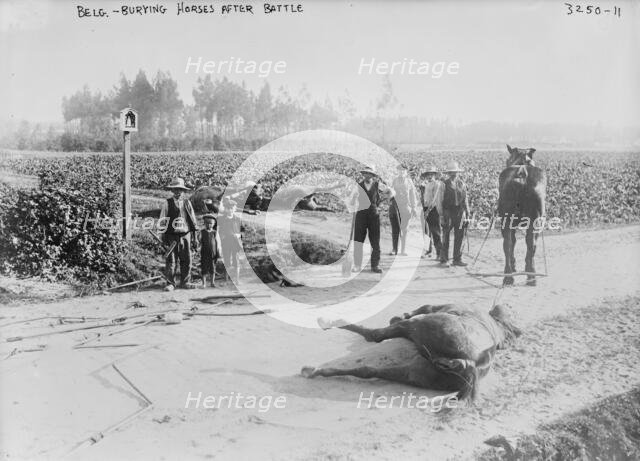Belg.[i.e., Belgium], burying horses after battle, 1914. Creator: Bain News Service.