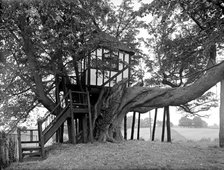 A half-timbered tree house, Pitchford Hall, Shropshire, 1959. Artist: GB Mason