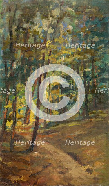 Forest interior, 1895-1905. Creator: Leopold Horovitz.