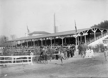 Horse Shows - General Views, 1911. Creator: Harris & Ewing.