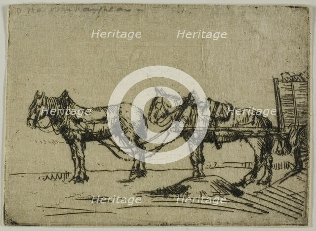 Two Horses, 1906. Creator: Donald Shaw MacLaughlan.