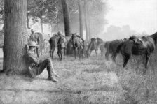 American cavalry unit at rest, Chemin des Dames, France, 1918. Artist: Unknown