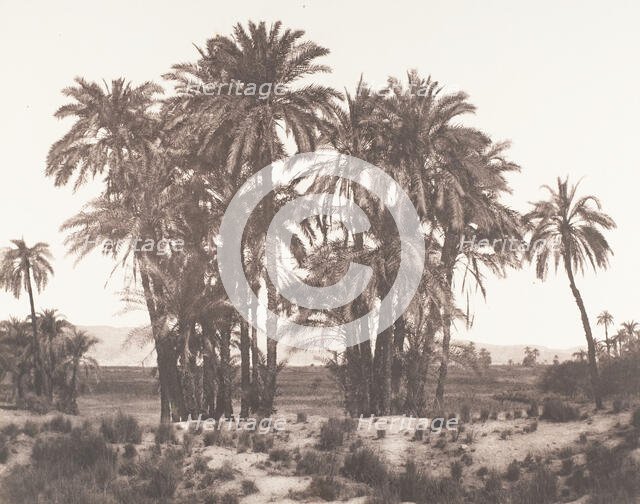 Karnak, Groupe de Dattiers Vu du Point A, 1851-52, printed 1853-54. Creator: Félix Teynard.