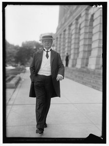 Senator Francis G. Newlands, between 1910 and 1917. Creator: Harris & Ewing.