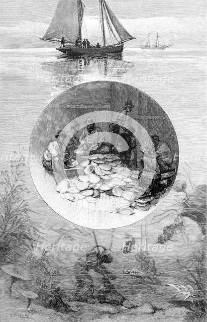 Pearl Fishery, Torres Strait, Australia, 1886. Artist: Unknown