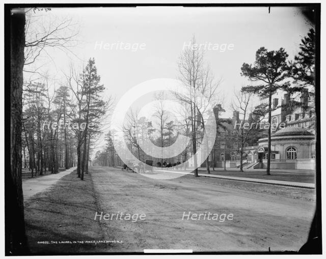 The Laurel in the Pines, Lakewood, N.J., c1901. Creator: William H. Jackson.